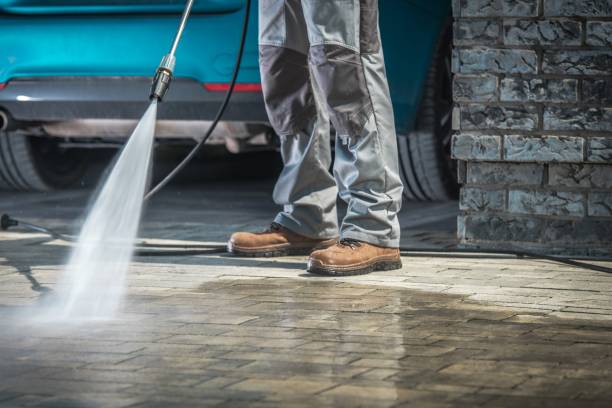 Best Spring Cleaning  in Jerseyvle, IL